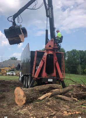 Person cutting fallen tree with orange chainsaw in a residential area, after storm damage.