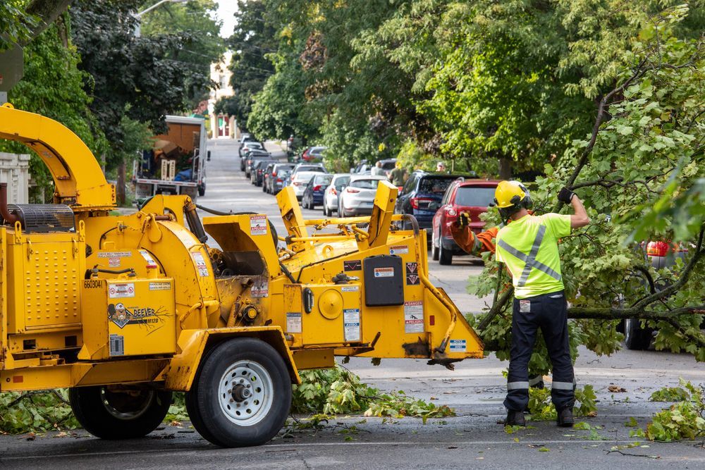 Yellow wood chipper and worker in safety vest chipping tree branches on a street.