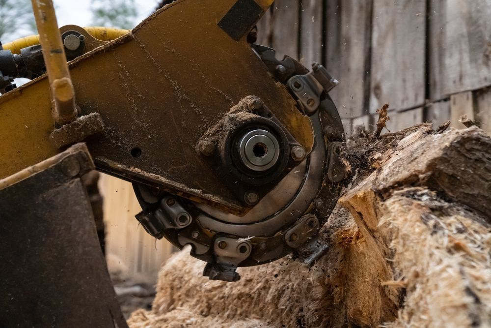 Yellow stump grinder cutting into a log, wood chips visible.
