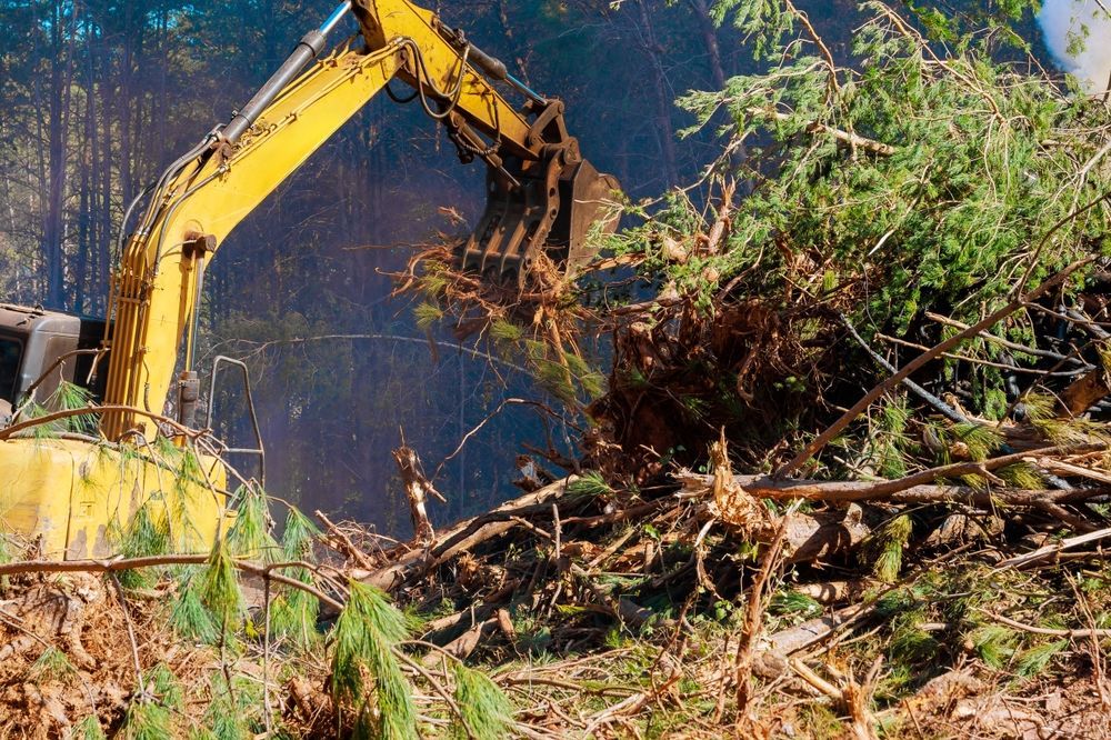 Yellow excavator clearing a pile of cut tree branches in a forest.