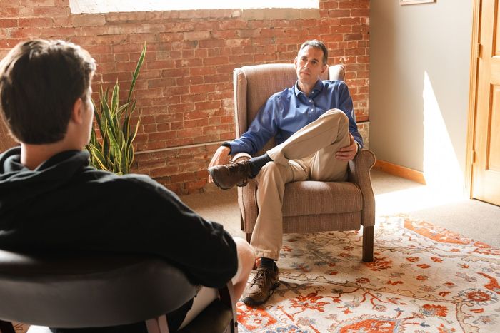A person sits in a chair facing a professional in a room with a brick wall, patterned rug, and a tall potted plant.