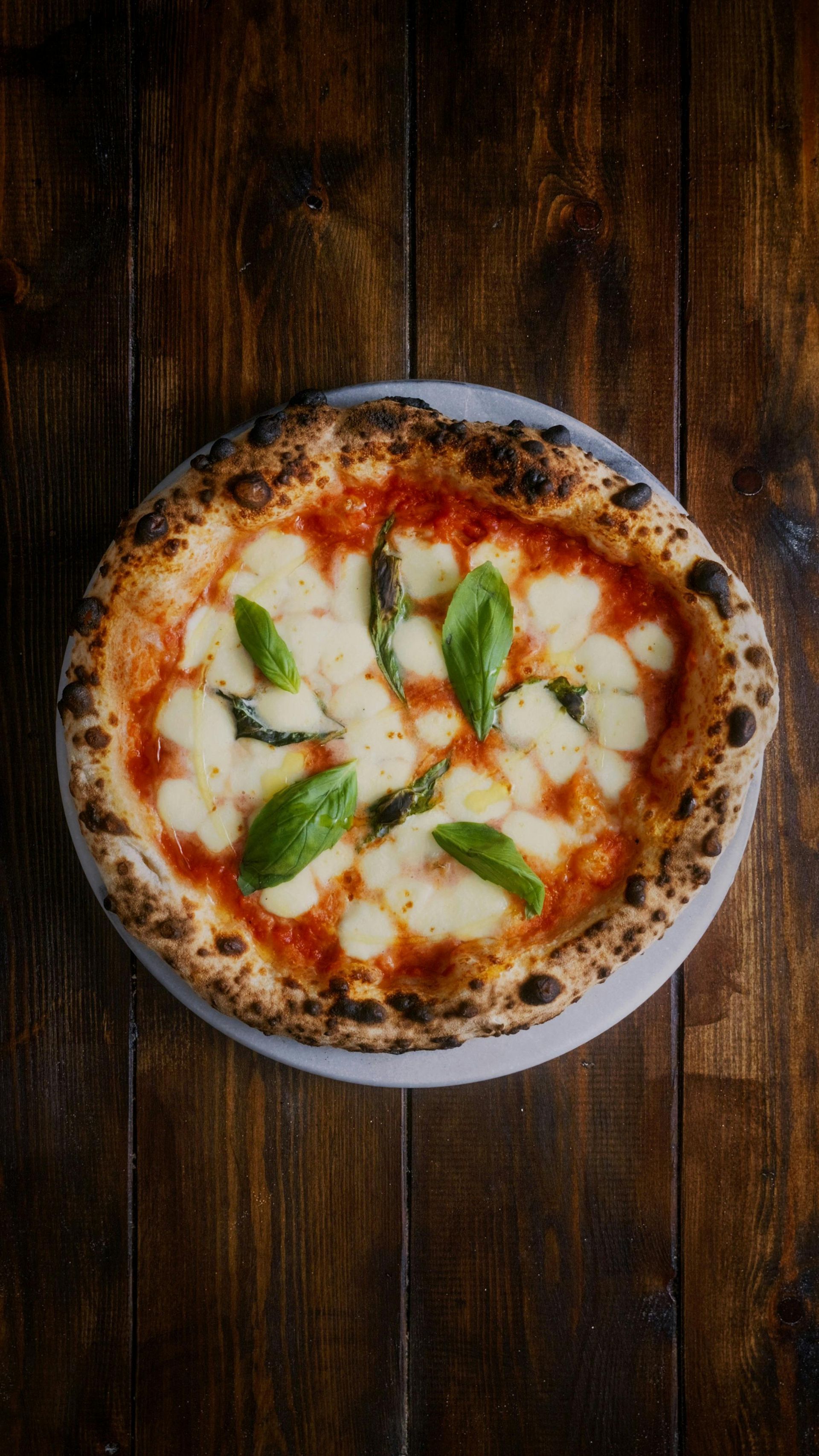 pizza margherita