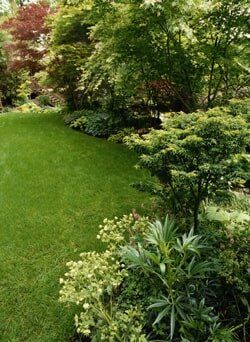 Landscaper — Trees and Lawn in Little Rock, AR