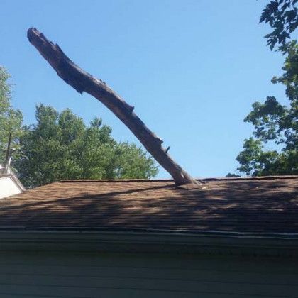 A tree branch is laying on the roof of a house.