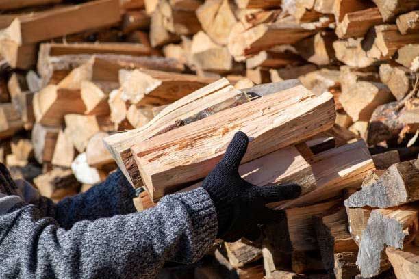 A person is holding a pile of logs in their hands.