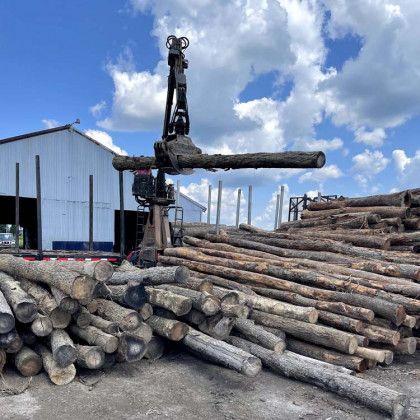 A pile of logs is being lifted by a crane in front of a building.