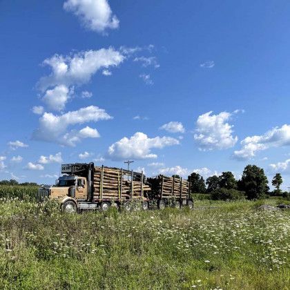 A truck is carrying logs in a field on a sunny day.
