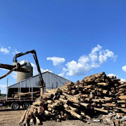 A large pile of logs is sitting in front of a building.