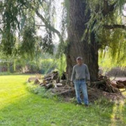 A man is standing next to a large tree in a field.