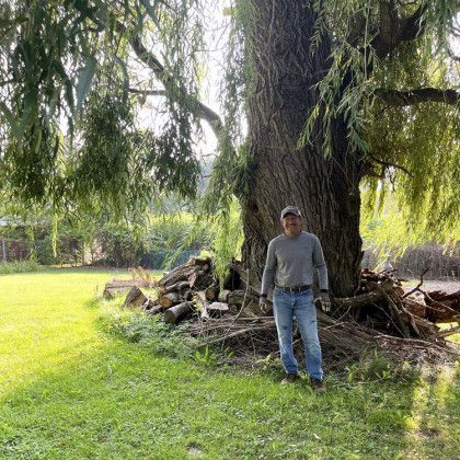 A man is standing next to a large tree in a field.
