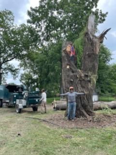 A man is standing next to a large tree in a field.