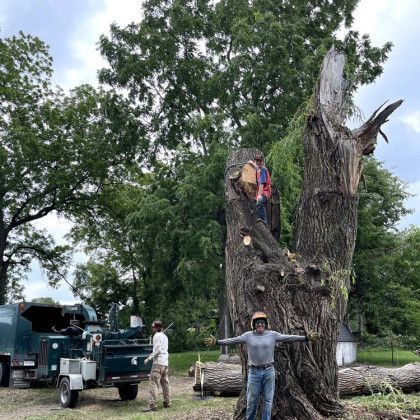 A man is standing next to a large tree stump.