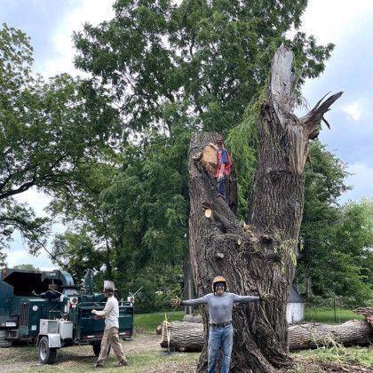 A man is standing next to a large tree stump.