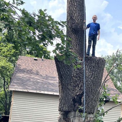 A man is standing on top of a tree in front of a house.