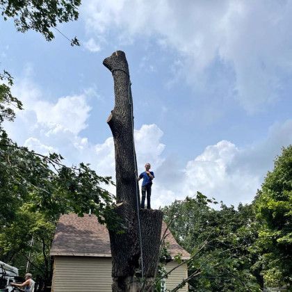 A man is standing on top of a large tree in front of a house.