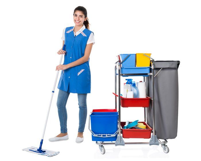 Happy Maid Dusting — Greenlawn, NY — The Cleaning Girls, Inc.