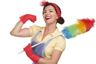 Feather Lady Cleaning, LLC