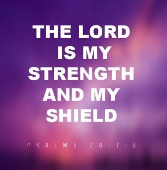 The lord is my strength and my shield written on a purple background