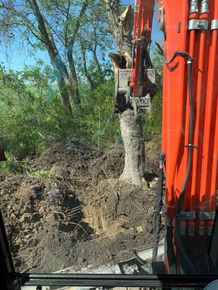 A red excavator is digging a hole in the ground.
