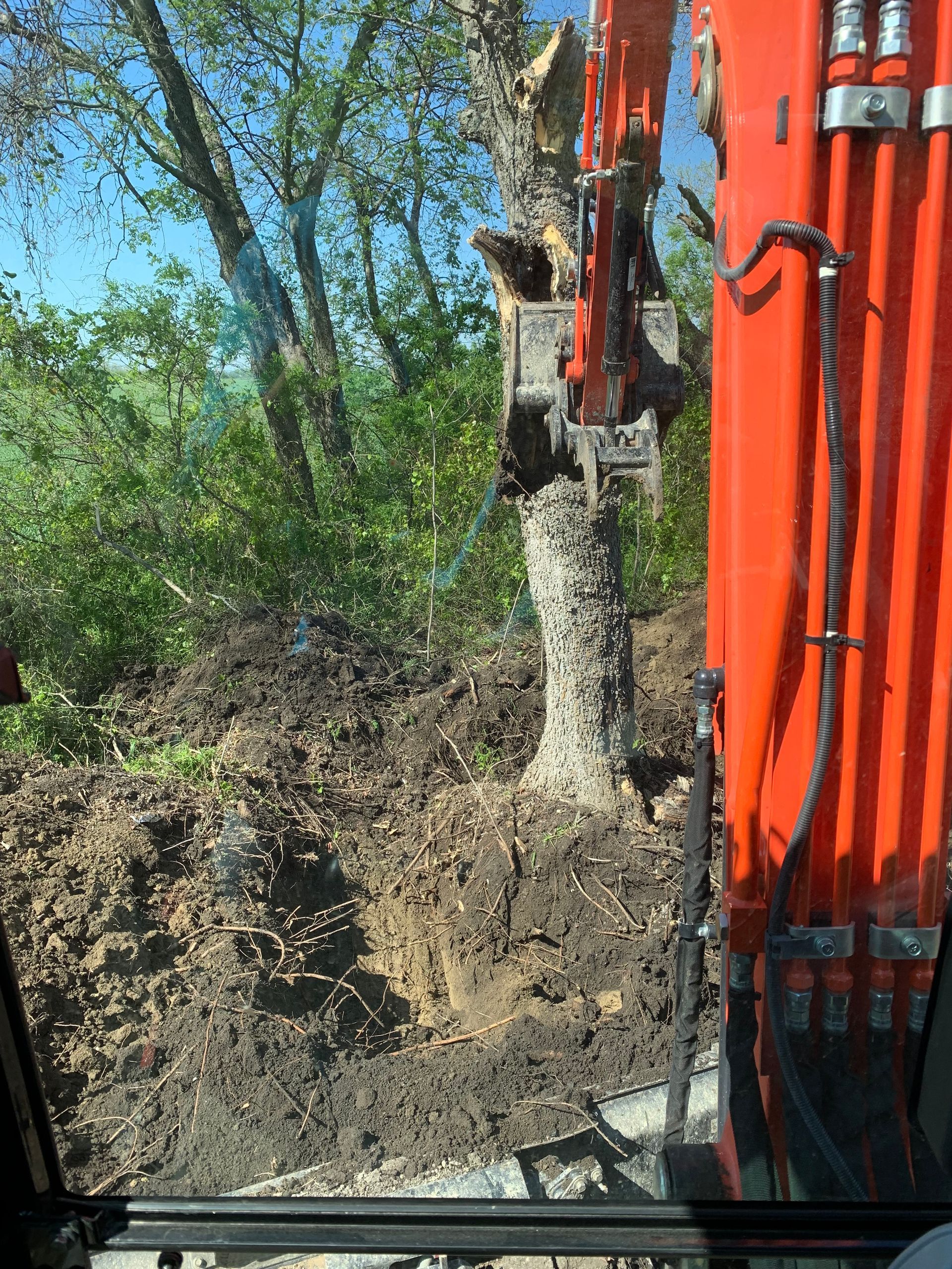 An orange excavator uproots a tree in a wooded area.