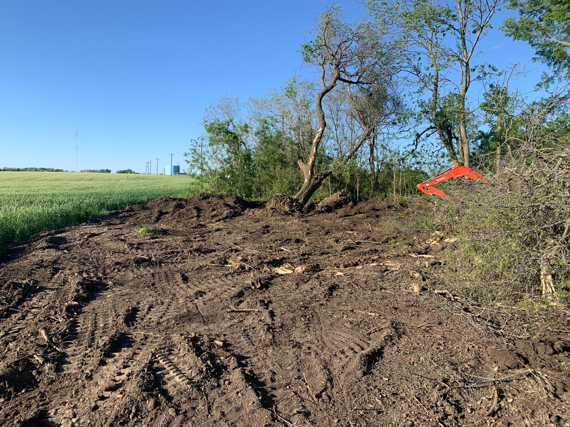 Dirt area with tire tracks next to a field of green crops and trees under a blue sky.