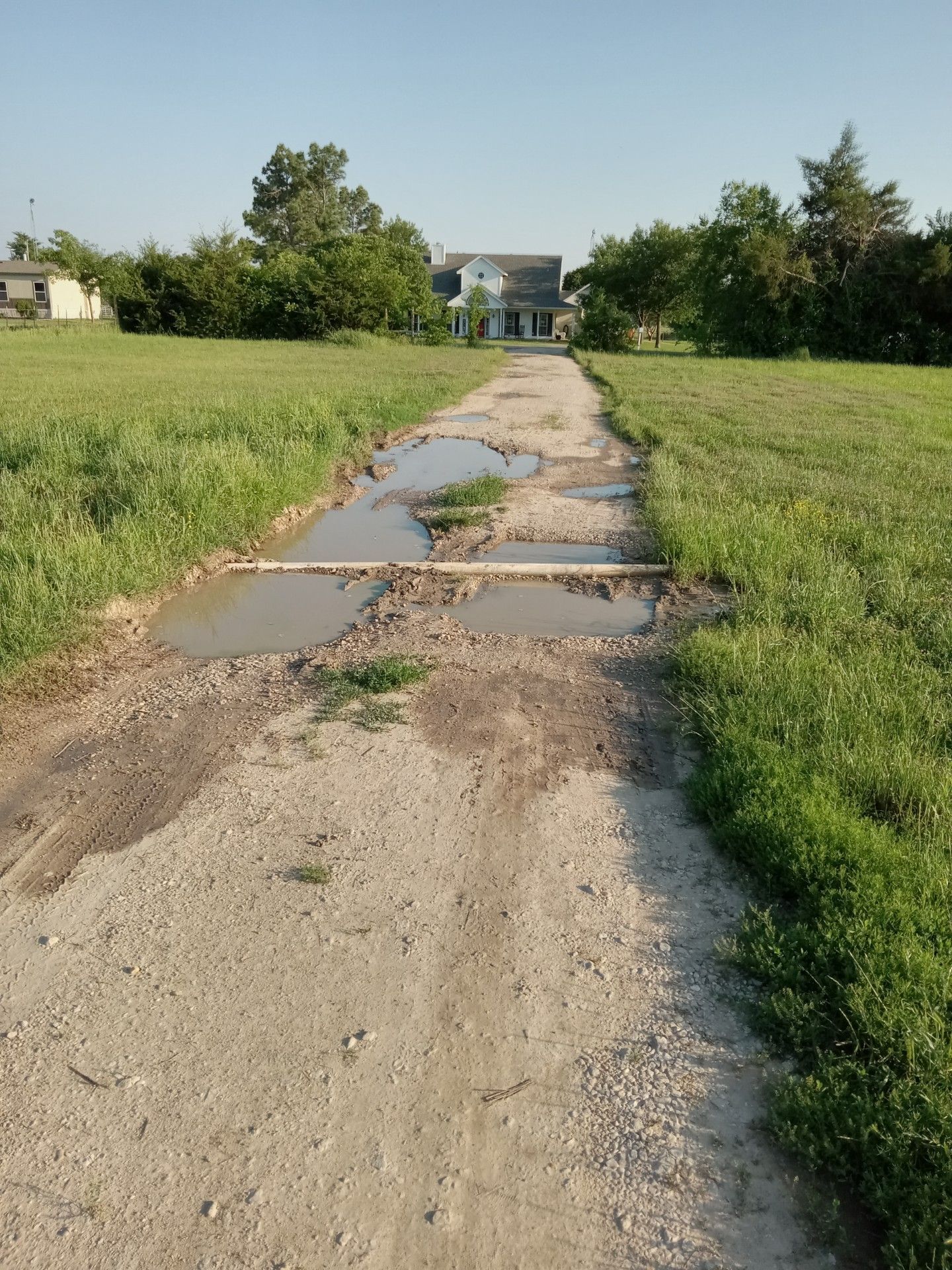 Dirt path with puddles leading to a house surrounded by grass and trees.