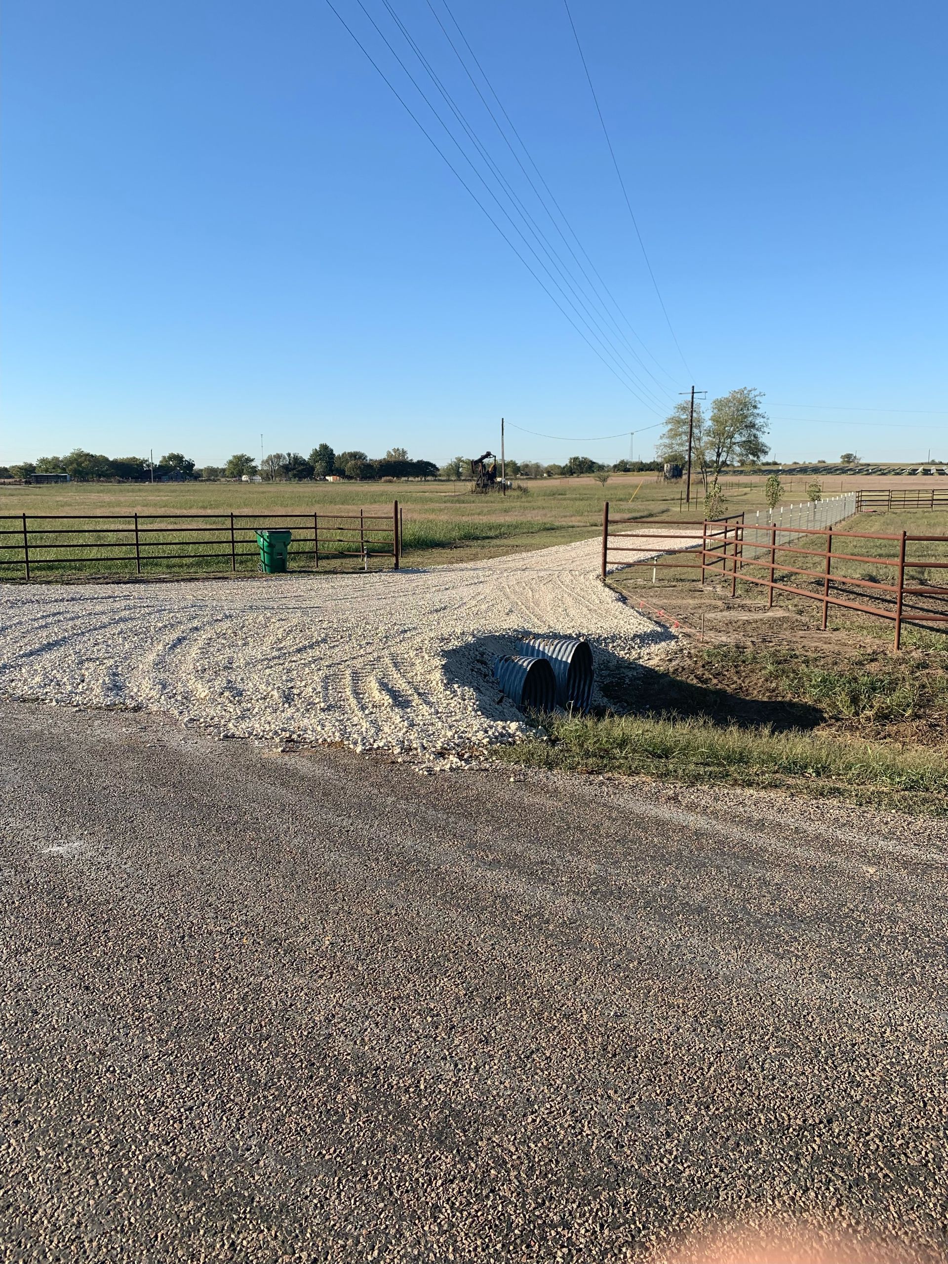 A gravel path leads to a field with a blue sky, a flock of birds, and a green bin.