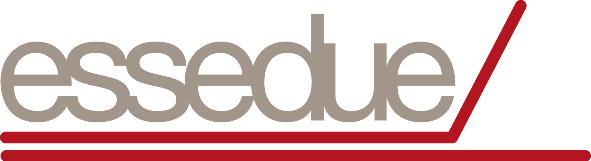 Logo di Essedue in grigio e rosso con una linea diagonale rossa e sottolineatura