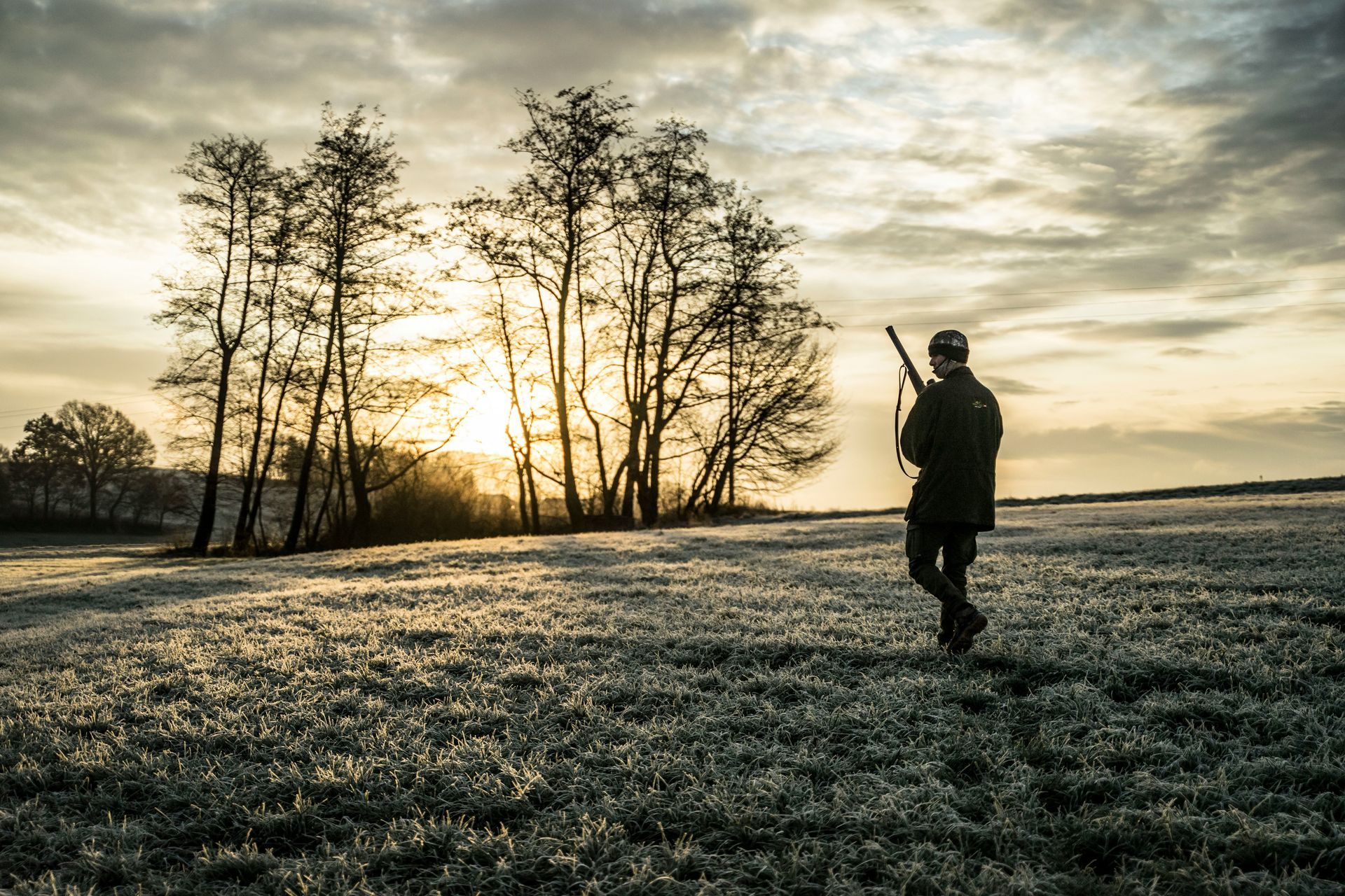 Hunter walking across a field at sunrise, carrying a rifle. Trees in the background.