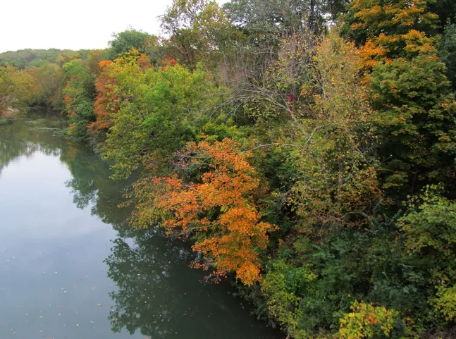 A river surrounded by trees with colorful leaves on a cloudy day.