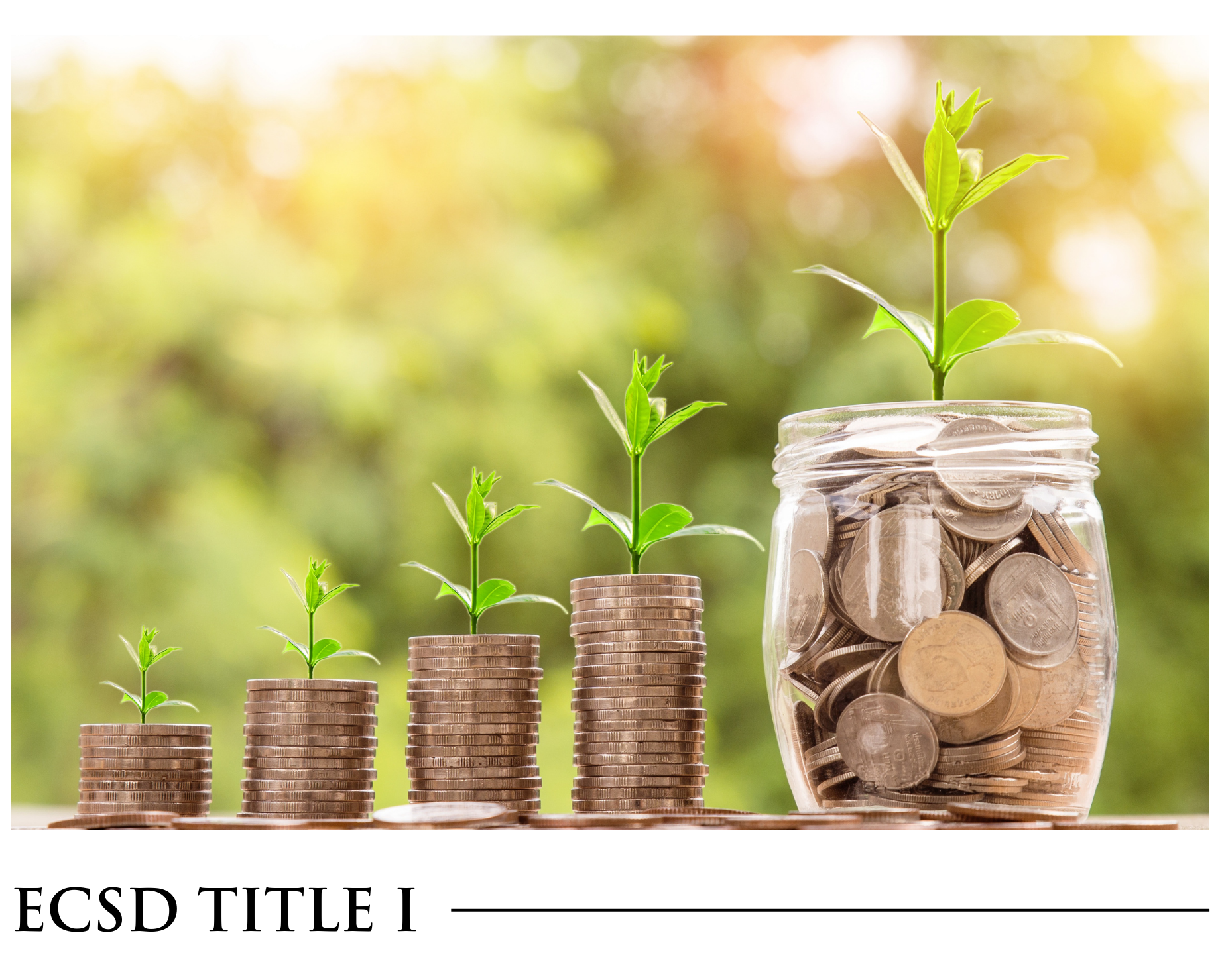A stack of coins with plants growing out of them.