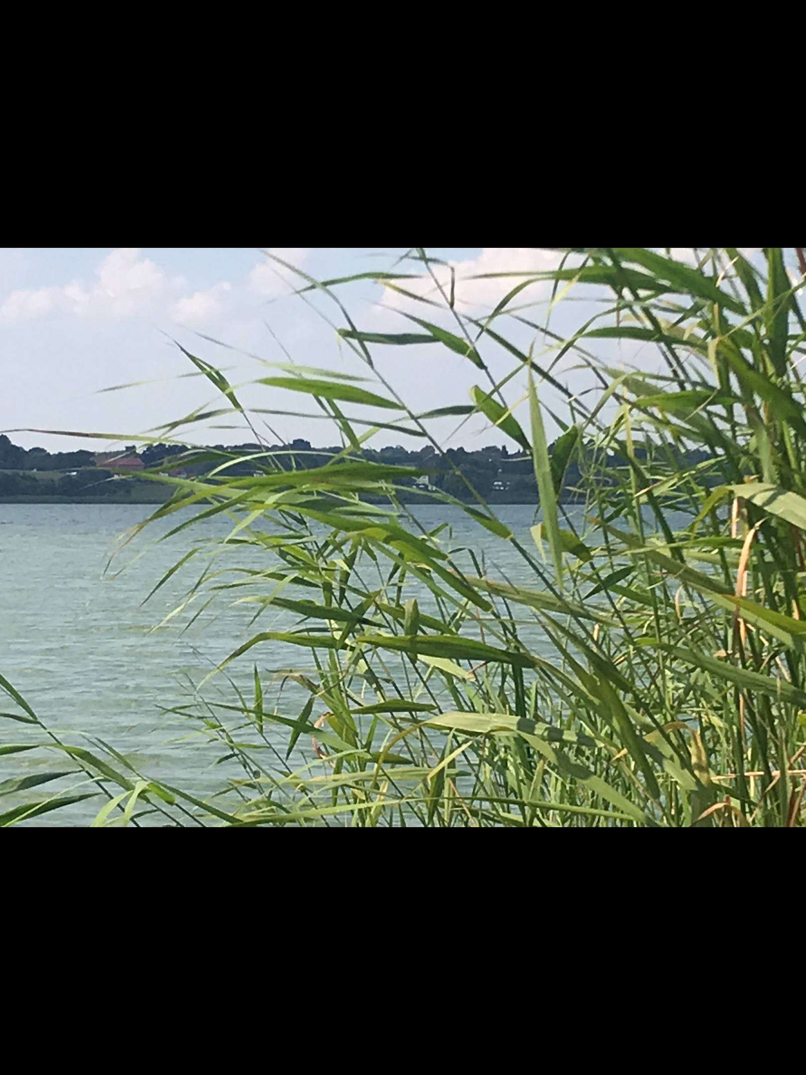 Wilmstorf Hemmelsdorfer See ©Monteurzimmer Lübeck Haus Frase