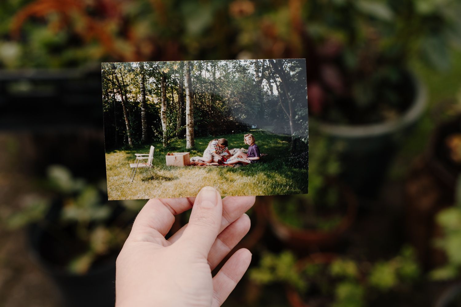 Wat de moestuin en fotografie aan elkaar verbindt