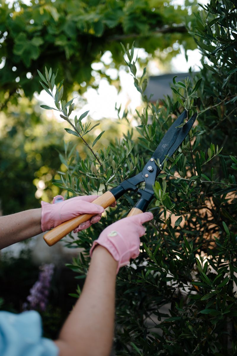 Fotografie voor tuinontwerpers en tuinarchitecten 