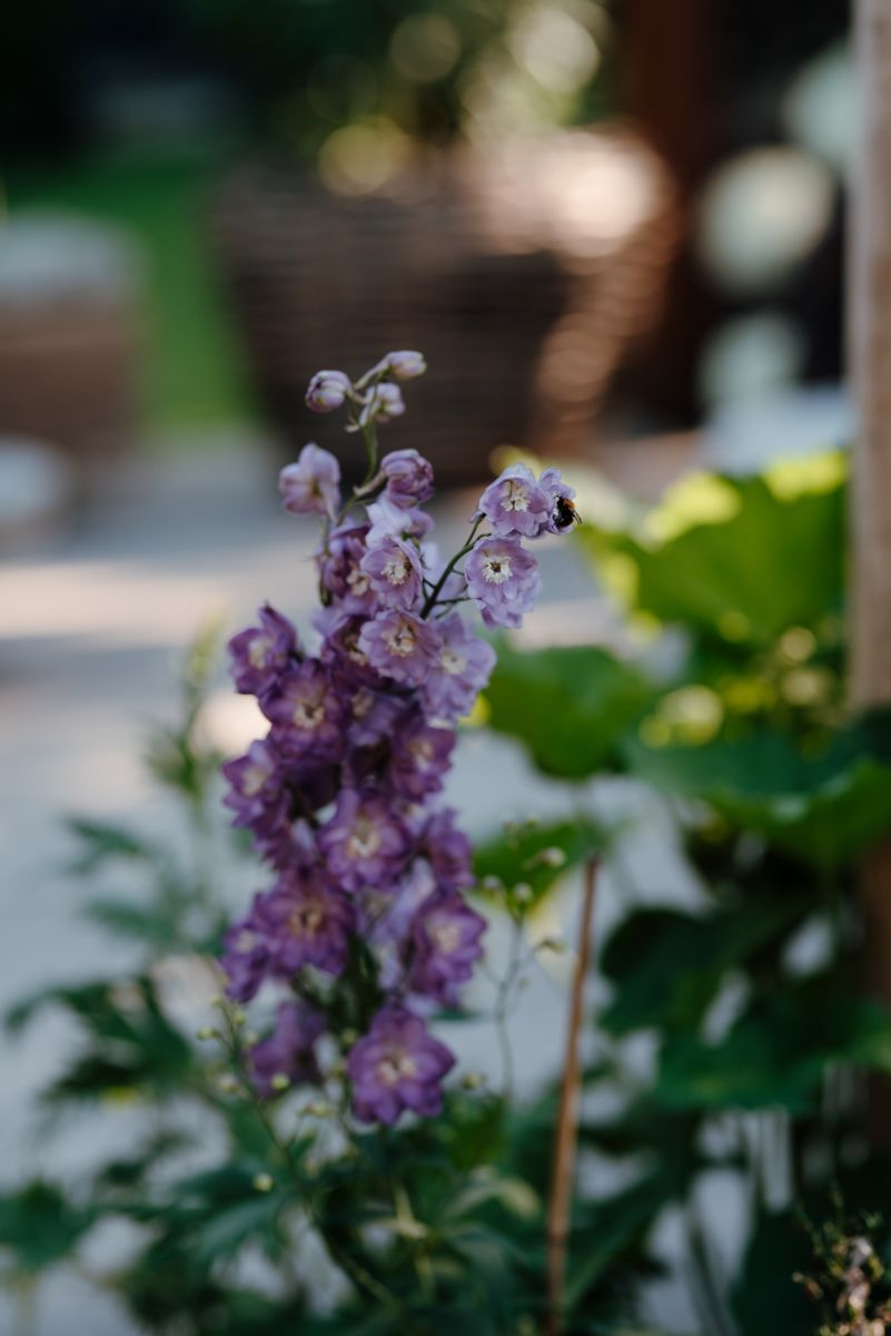 Fotografie voor tuinontwerpers en tuinarchitecten

