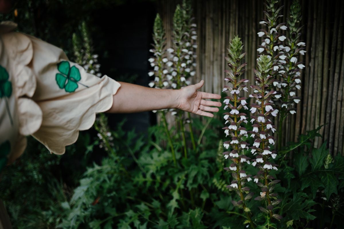 Fotografie voor tuinontwerpers en tuinarchitecten

