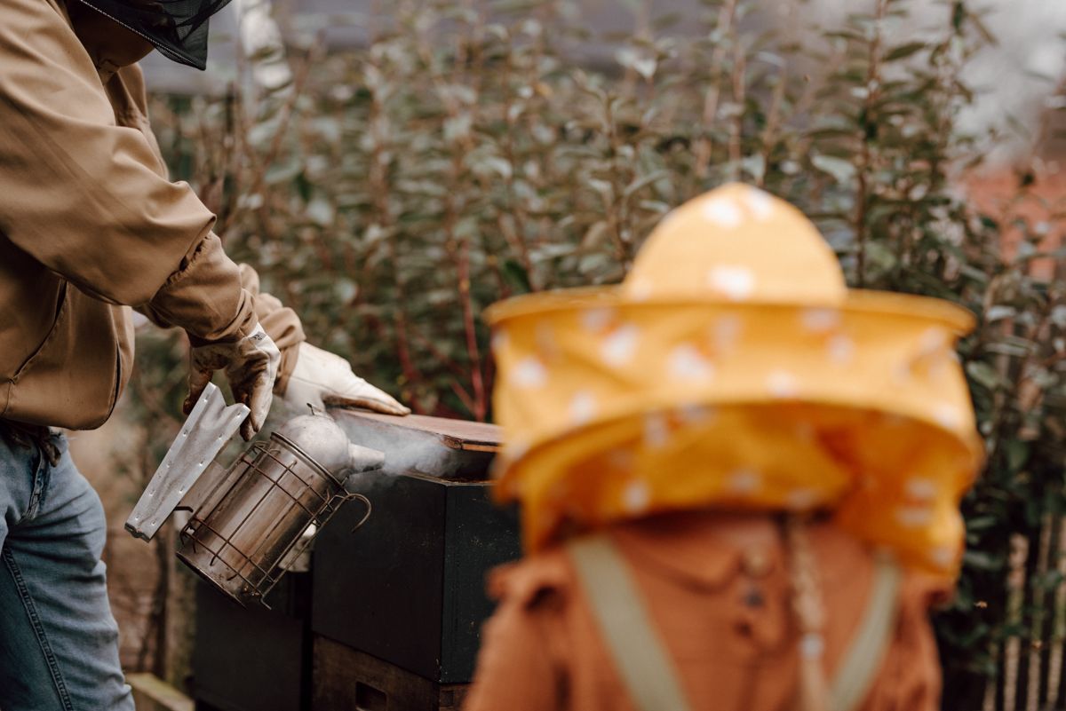 Bijen worden wakker gemaakt tijdens een fotoshoot van een imker