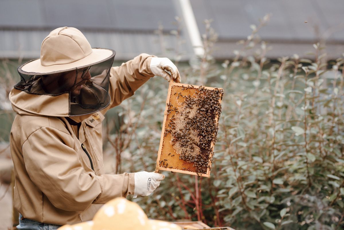 Fotoshoot van imker tijdens een gezinsshoot