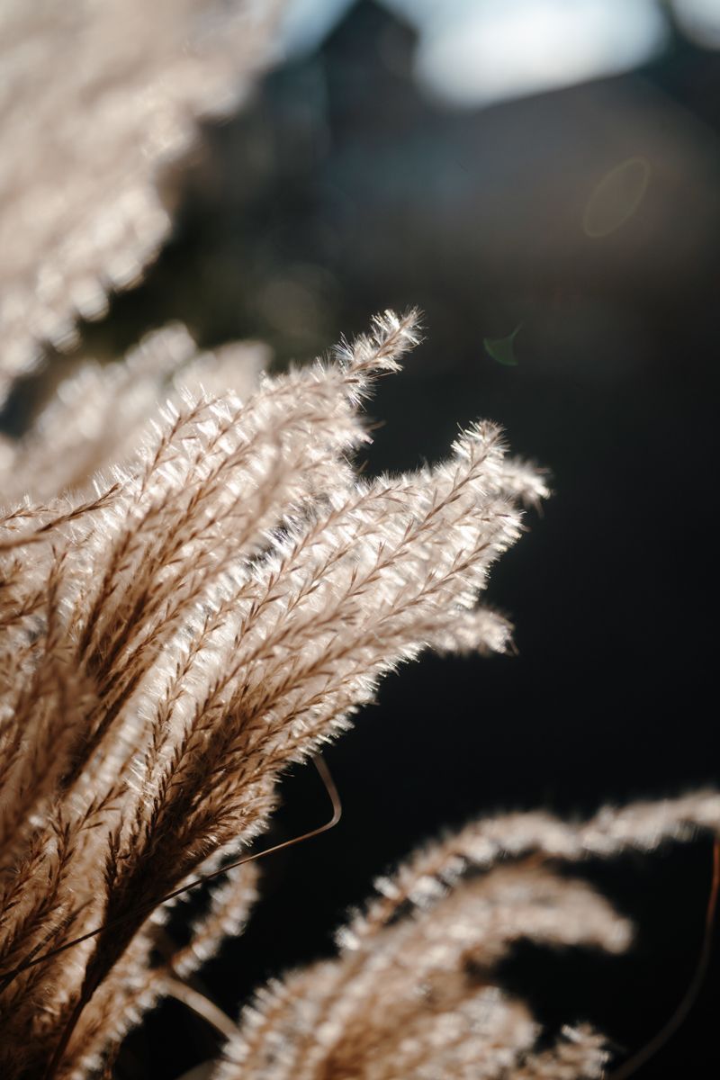 Fotoshoot bij kanker
