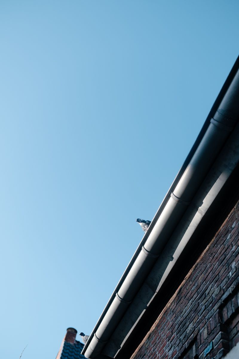 Fotografie bij kanker