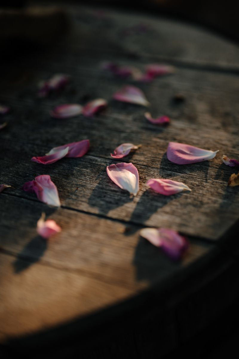 Opa strikt de veters van de schoenen van de kleindochter