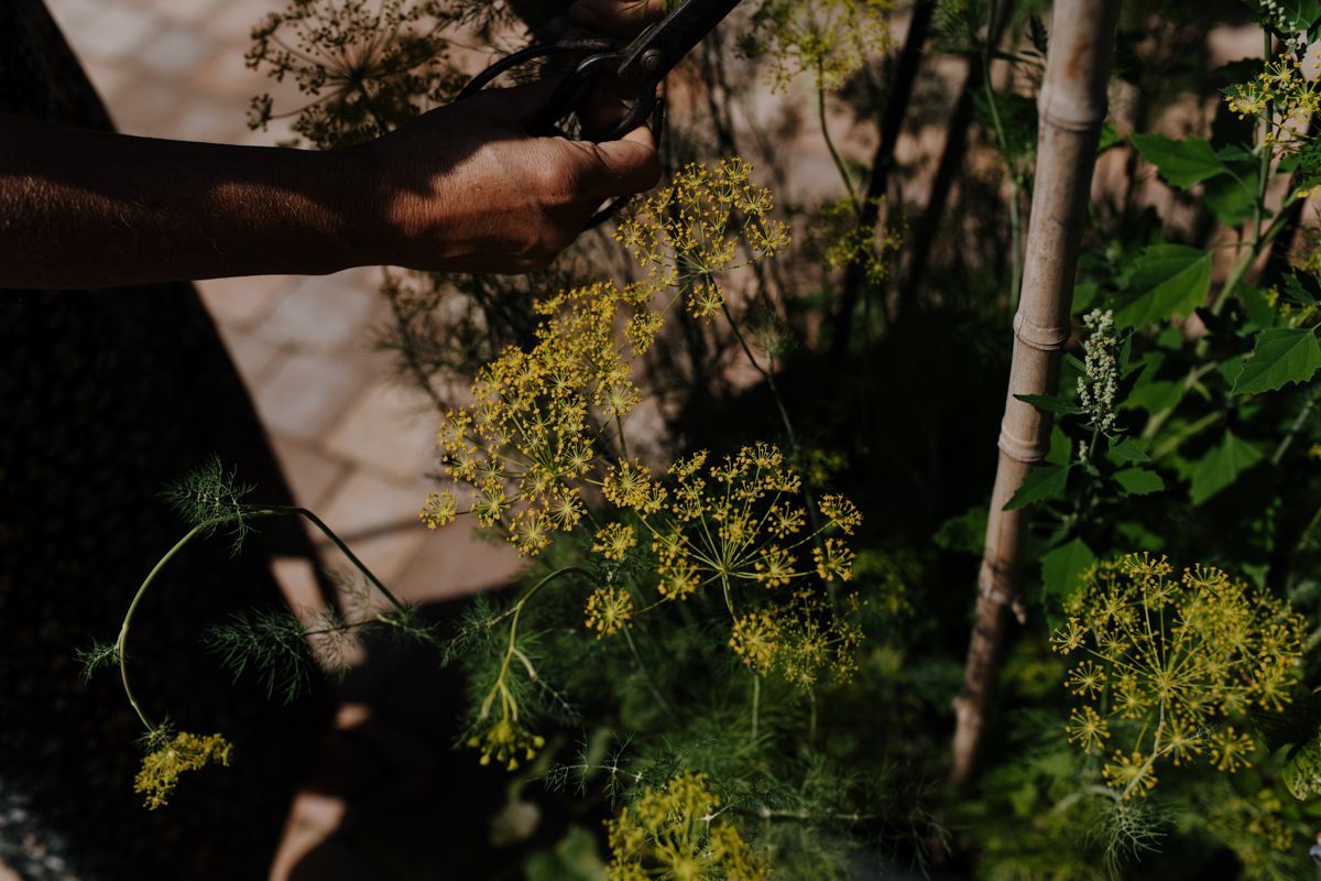 Fotoshoot in de moestuin van Jessica Koomen