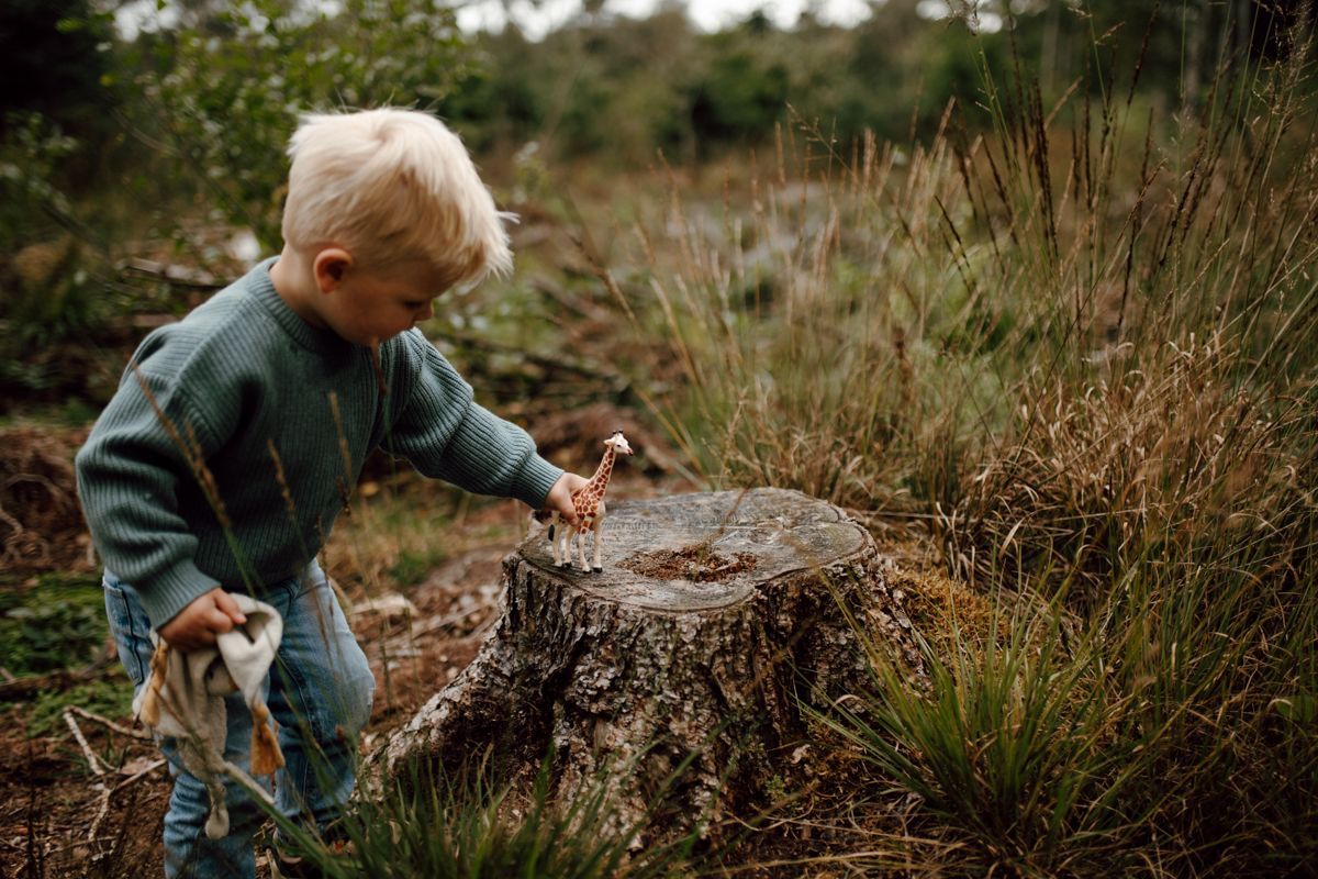 Een jong kind in een blauwe trui onderzoekt een boomstronk in een grasrijk, bosrijk buitengebied.