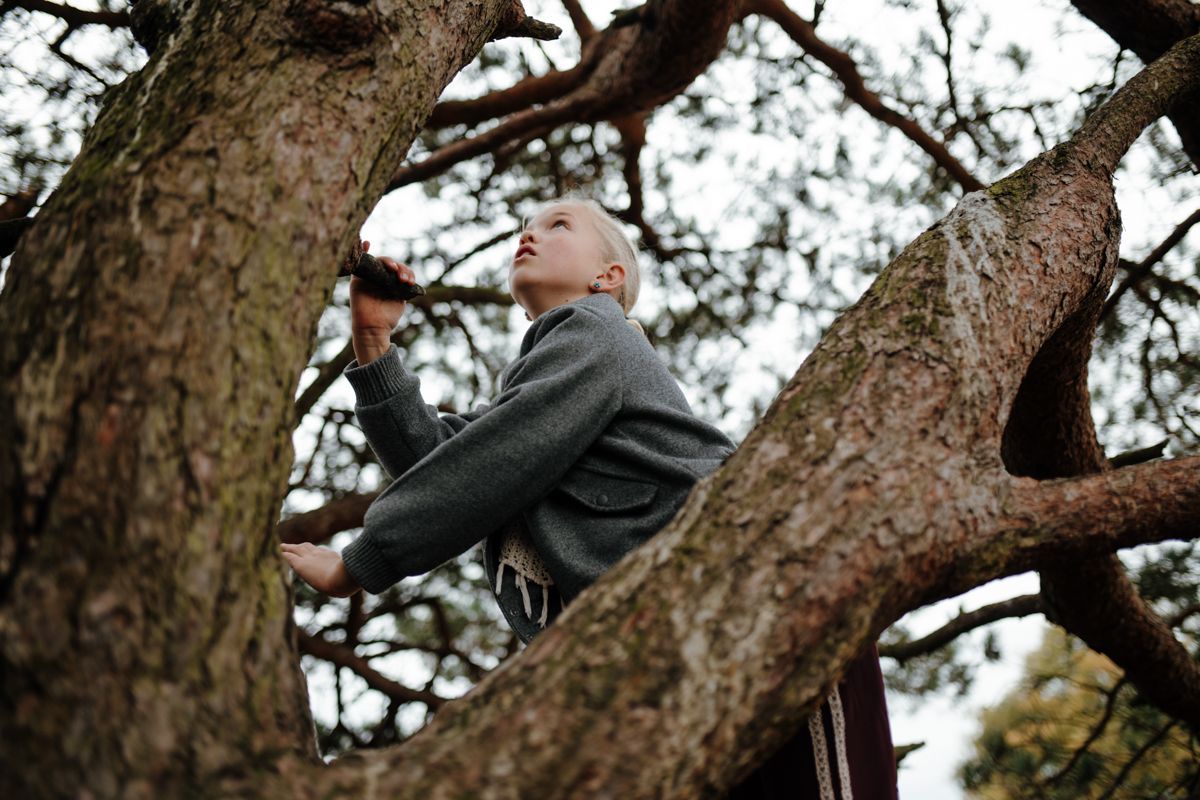 Een kind klimt in een dennenboom tijdens een gezinsshoot in de natuur en kijkt omhoog terwijl zij zich aan een tak vastgrijpt.