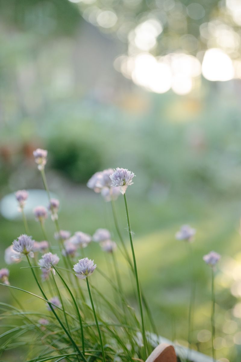 Fotografie bij kanker