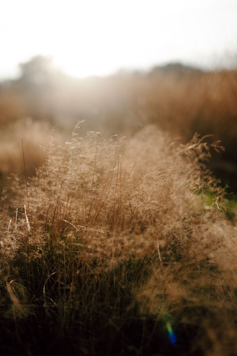 Fotoshoot bij kanker