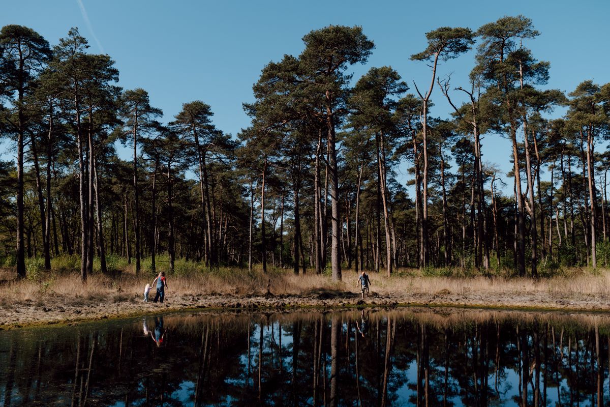 Een kalme vijver weerspiegelt hoge dennenbomen onder een helderblauwe hemel, met drie personen die in de verte langs de oever lopen tijdens een gezinsshoot