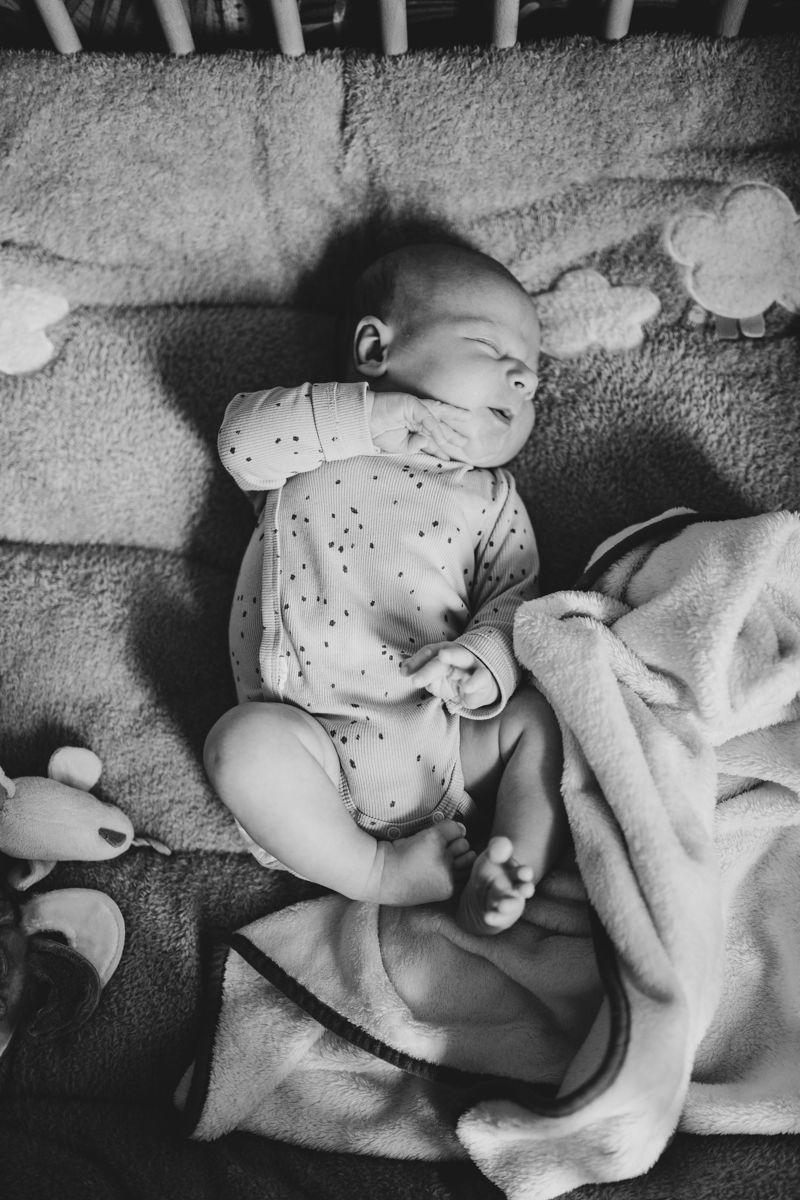 Newbornshoot Groningen