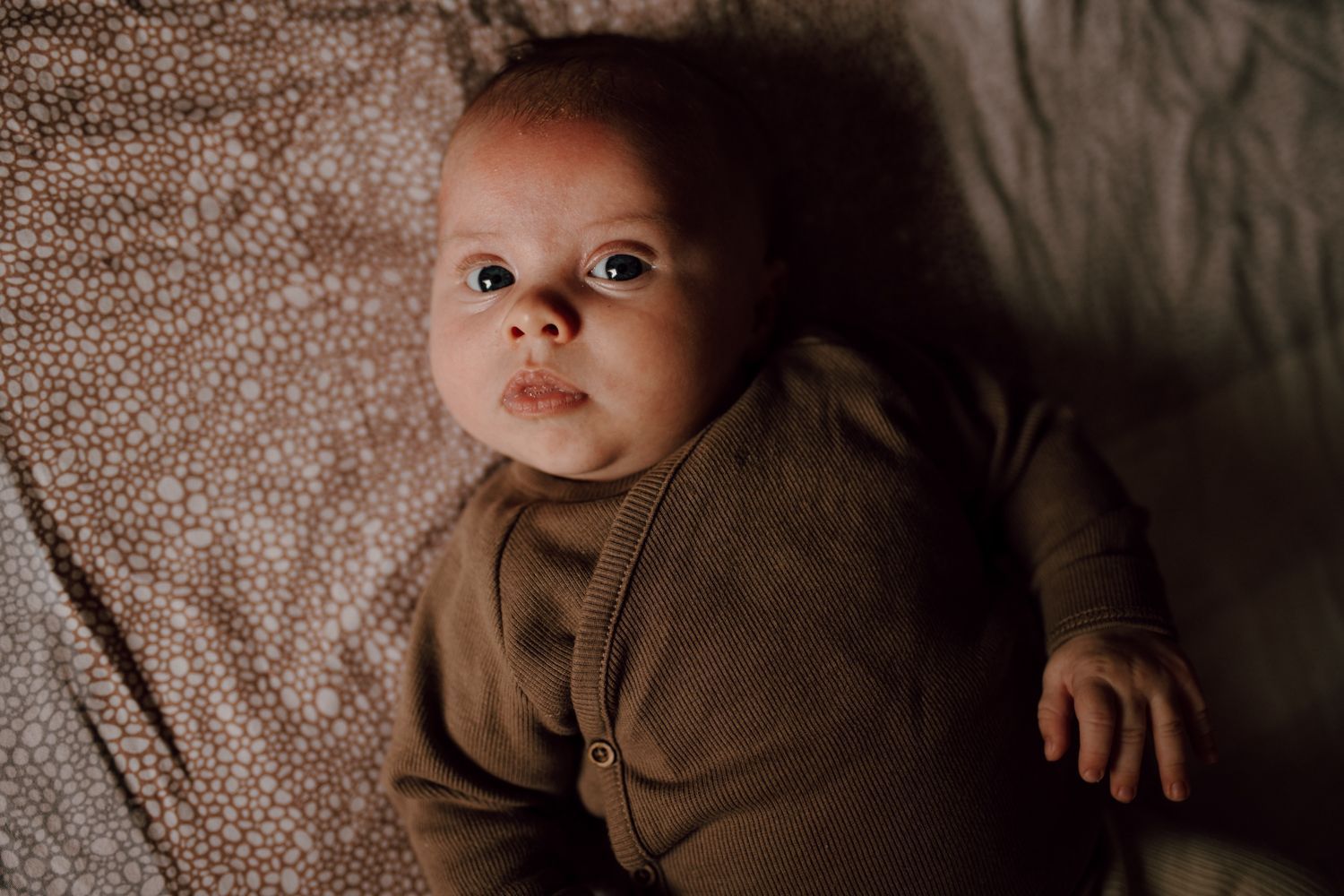 Newbornshoot Leeuwarden