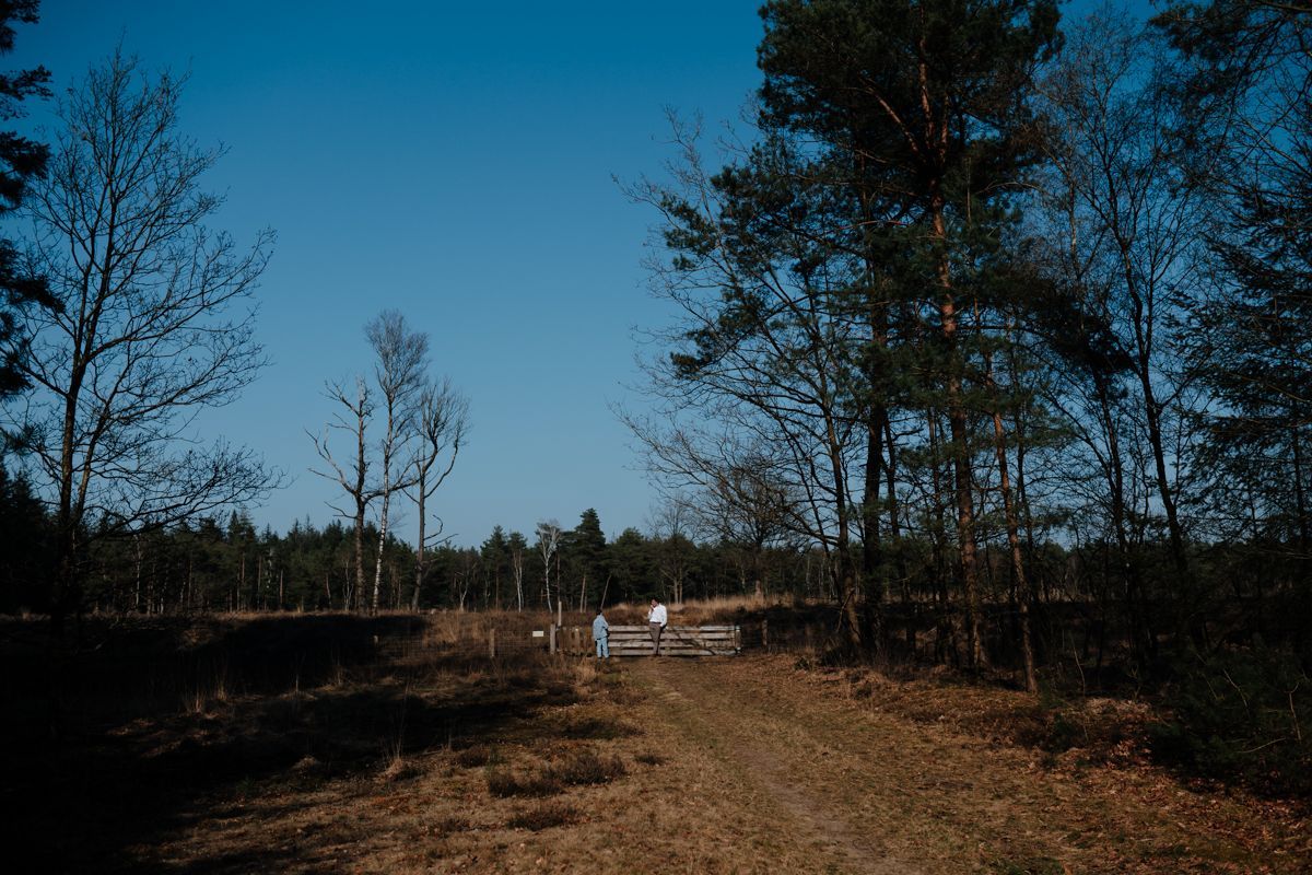 Wandeling op de Doldersumerheide: inspiratie voor een fotoshoot in Drenthe